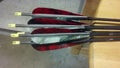 Red and Grey Fletchings On Arrows Royalty Free Stock Photo