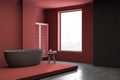Red and grey loft bathroom corner with tub Royalty Free Stock Photo