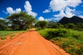 Red ground road, bush with savanna. Tsavo West, Kenya, Africa