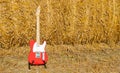 Red guitar telecaster on a straw stack background in a summer day