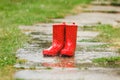 Red gumboots in rain Royalty Free Stock Photo