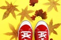 Red gym shoes sneakers with white laces on a yellow background with orange autumn leaves Royalty Free Stock Photo