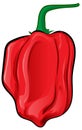 Red habanero clip art cartoon illustration