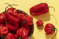 Red habanero peppers on yellow background Royalty Free Stock Photo