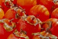 Red Hachiya persimmon fruit close up Royalty Free Stock Photo