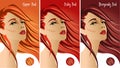 Red hair colours set Royalty Free Stock Photo