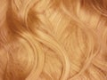 Red hair curls as texture background Royalty Free Stock Photo