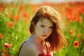 Red haired beautiful girl in poppy field Royalty Free Stock Photo