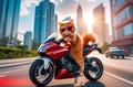a red-haired cat with fluffy fur and glasses rides a red motorcycle