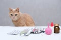 A red-haired cat sitting in front of a pile of medicines. Pet treatment