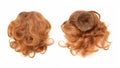 Red-haired chignon. Royalty Free Stock Photo