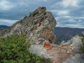 Red-haired contented cat is resting on the top of the mountain Royalty Free Stock Photo