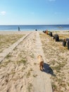 A red-haired dog runs along a concrete path on a sea beach near a car tire half buried in the sand. Royalty Free Stock Photo