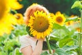 red-haired girl covered her face with a sunflower, girl incognito enjoying nature on the field of sunflowers at sunset Royalty Free Stock Photo