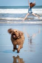 Red haired girl doing a hand stand or cartwheel on a New Zealand surf beach Royalty Free Stock Photo