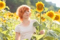 red-haired girl hugging a tall sunflower at sunset, young redheaded woman in the field of sunflowers hugging a sunflower, funny s Royalty Free Stock Photo