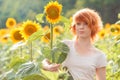 Red-haired girl hugging a tall sunflower at sunset, young redheaded woman in the field of sunflowers hugging a sunflower, funny Royalty Free Stock Photo