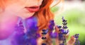 A red-haired girl with lush lips of slivian appearance bent over a shrub of purple lavender that would feel her aroma. Banner. A
