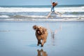 Red haired girl doing a hand stand or cartwheel on a New Zealand surf beach Royalty Free Stock Photo