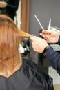 Red-haired woman sitting a front of the mirror and receiving haircut her red long hair by a female hairdresser in a hair Royalty Free Stock Photo