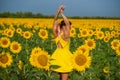 Red-haired woman in a yellow dress dancing with raised hands in a field of sunflowers. Beautiful girl in a skirt sun