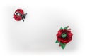 Red handmade ladybug and poppy brooches on white