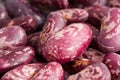 Red haricot beans Royalty Free Stock Photo