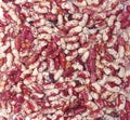 Red haricot beans background Royalty Free Stock Photo