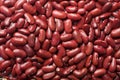 Red haricot beans background Royalty Free Stock Photo