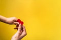 Red hart on palms of mother and son - Caucasian woman and child holding red hart shape above the modern abstract yellow background Royalty Free Stock Photo