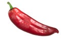 Red Hatch chile whole, top Royalty Free Stock Photo