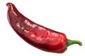 Red Hatch chile whole, top view Royalty Free Stock Photo