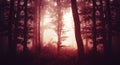 Red haunted Halloween forest with fog Royalty Free Stock Photo