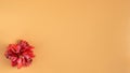 Red Hawaiian-type flower, placed at the bottom left on an orange background Royalty Free Stock Photo