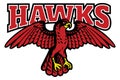 Red hawk mascot