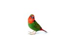 Red head parrot finch green color with a red tail a small exotic bird.