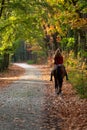 Woman riding brown mare horse avenue lane forest