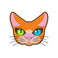 Red-headed cat face isolated. Pet on green background Royalty Free Stock Photo