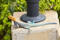 Red-headed Rock Agama in Kenya Royalty Free Stock Photo