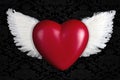 Red heart with angel wings Royalty Free Stock Photo