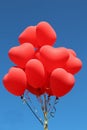 Red heart balloons flying in the skies Royalty Free Stock Photo