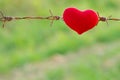Red heart and barbed wire. Royalty Free Stock Photo