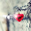 Red heart, barbed wire and metal gauze. Royalty Free Stock Photo