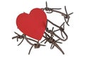 Red heart on barbed wire, white background