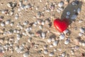 A Red Heart on Beach Sand with Broken Shells Pieces Pattern Royalty Free Stock Photo
