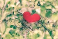 Red heart in bird nest Royalty Free Stock Photo