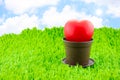 Red heart in brown pot on green grass with sunburst and blue sky