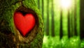 Red Heart Carved Into a Tree Trunk in a Green Forest - Generative Ai Royalty Free Stock Photo