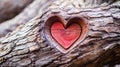 A red heart carved into a tree trunk.Valentine\'s Day banner with space for your own co