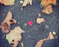 Red heart on concrete ground Royalty Free Stock Photo